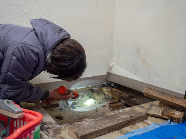 Best Post-Remediation Verification Testing  in Vienna, WV