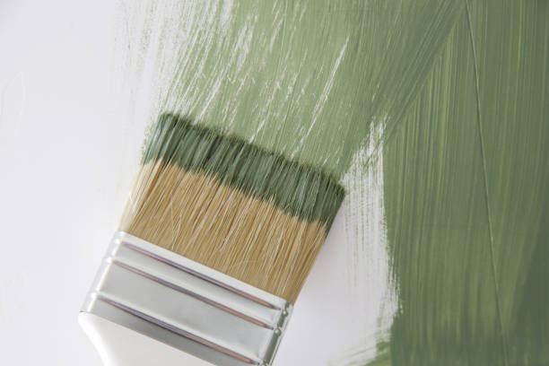 Best Mold Prevention Services  in Vienna, WV