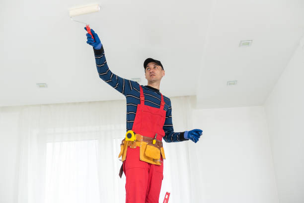Best Environmental Consulting for Mold Prevention  in Vienna, WV